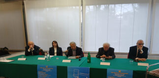 IMG-20260207-WA0033 (1)