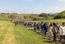 Impianto di Arlena di Castro, parere definitivo negativo: una grande vittoria per la Tuscia