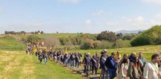 Impianto di Arlena di Castro, parere definitivo negativo: una grande vittoria per la Tuscia