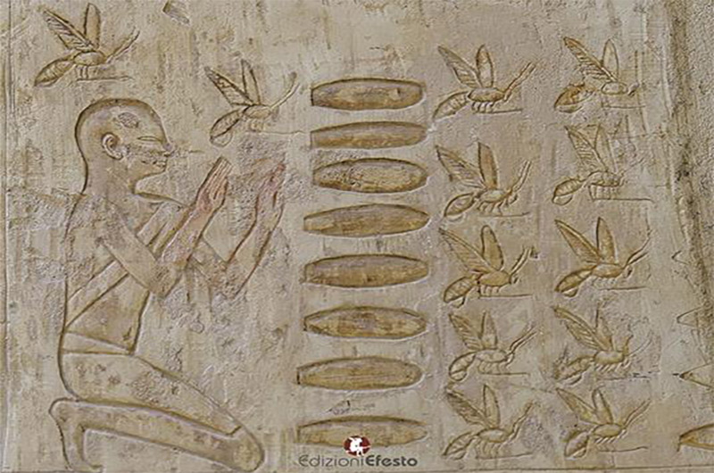 L'apicoltura nel Mediterraneo antico