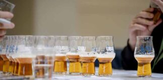 “Birra dell’Anno 2026”, Hilltop Brewery di Bassano Romano primo nella categoria delle affumicate e torbate _TCP4180-Migliorato-NR