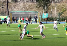 Viterbese - Leoni Gialloblù