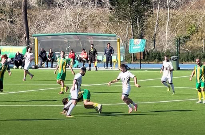 Viterbese - Leoni Gialloblù