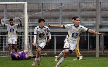 Viterbese vs Boreale