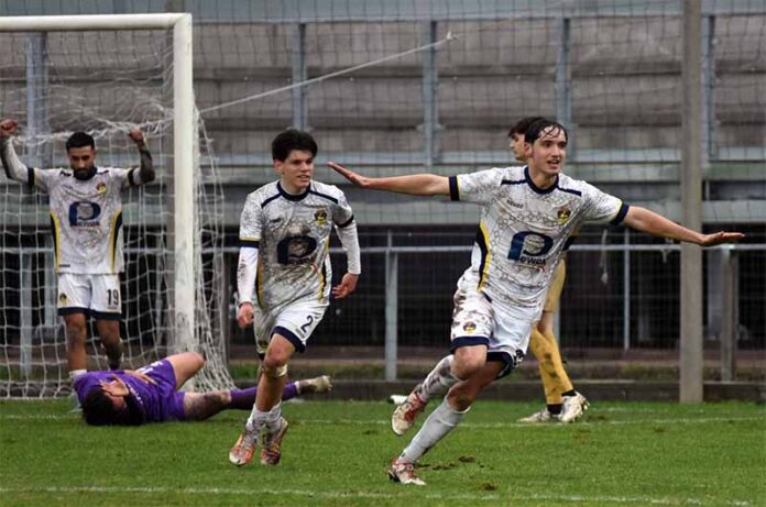 Viterbese vs Boreale