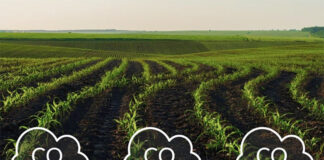 professionisti della transizione climatica