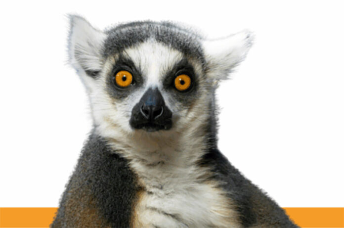 Bando Premio TWAIN_direzioniAltre 2026