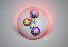 Pensare chiaro in un mondo confuso. Un viaggio affascinante nel mondo della fisica quantistica a Tarquinia