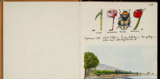 Fulco Pratesi, “Diario”, 1° gennaio 1989, 21 x 32, acquerello su carta, il paesaggio della Laguna di Orbetello – Località “Patanella”
