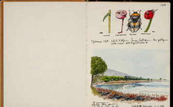 Fulco Pratesi, “Diario”, 1° gennaio 1989, 21 x 32, acquerello su carta, il paesaggio della Laguna di Orbetello – Località “Patanella”