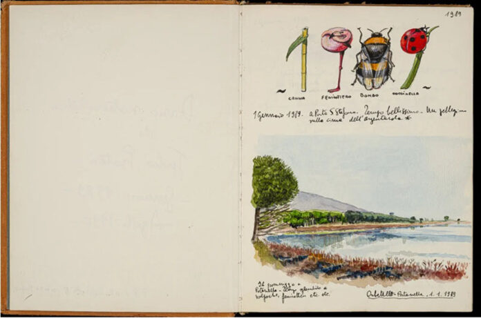 Fulco Pratesi, “Diario”, 1° gennaio 1989, 21 x 32, acquerello su carta, il paesaggio della Laguna di Orbetello – Località “Patanella”