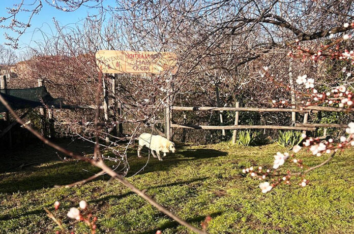 Il parco Anthaia Il parco Anthaia
