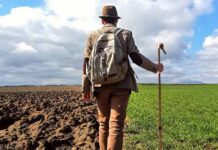 San Lorenzo Nuovo - Storie in cammino