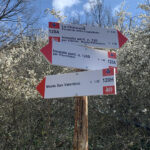 Segnaletica colli minori dei Monti Cimini