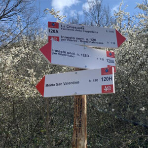 Segnaletica colli minori dei Monti Cimini