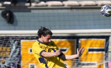 Viterbese-Leoni gialloblù