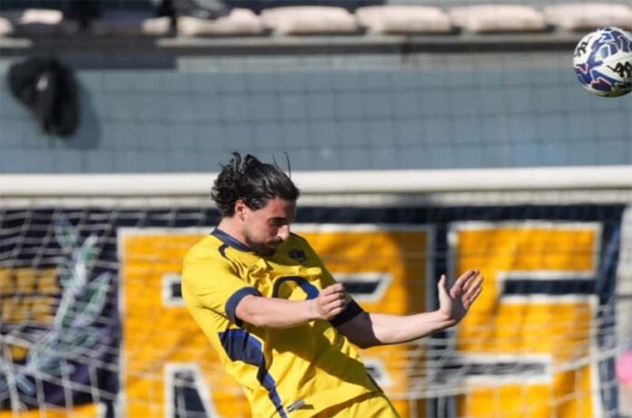 Viterbese-Leoni gialloblù Viterbese-Leoni gialloblù