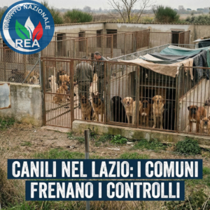 canili_nel_lazio_port
