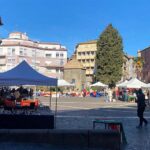 mercatino dell'antico vt