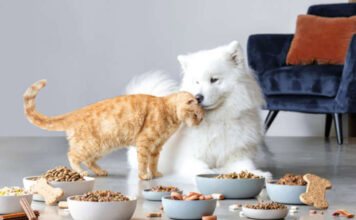 petfood-iva al 22percento