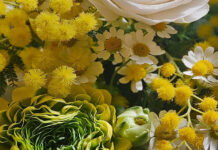 week 8 marzo by Officina dei Fiori di Federica Salomoni