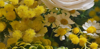 Weekend giallo donna, musei aperti, sfilata corsi di difesa personale, poesia, gioielli e ornamenti week 8 marzo by Officina dei Fiori di Federica Salomoni