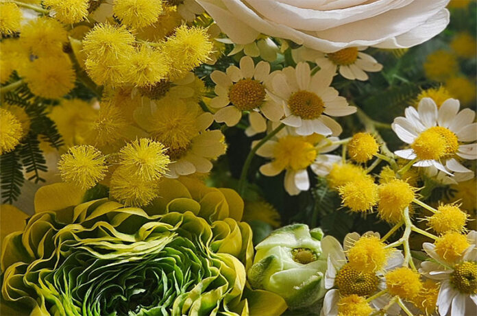 week 8 marzo by Officina dei Fiori di Federica Salomoni