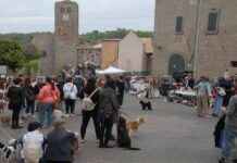 Bassano in Teverina - Car Boot Sale e mostra canina