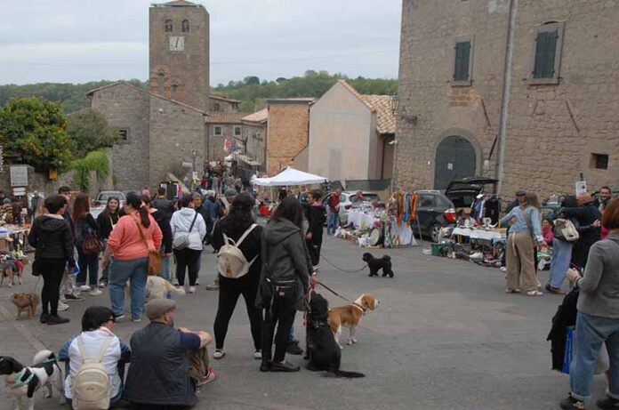Bassano in Teverina - Car Boot Sale e mostra canina