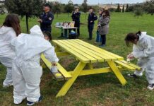 Bosco urbano di Tarquinia, studenti dell’IC “Ettore Sacconi”