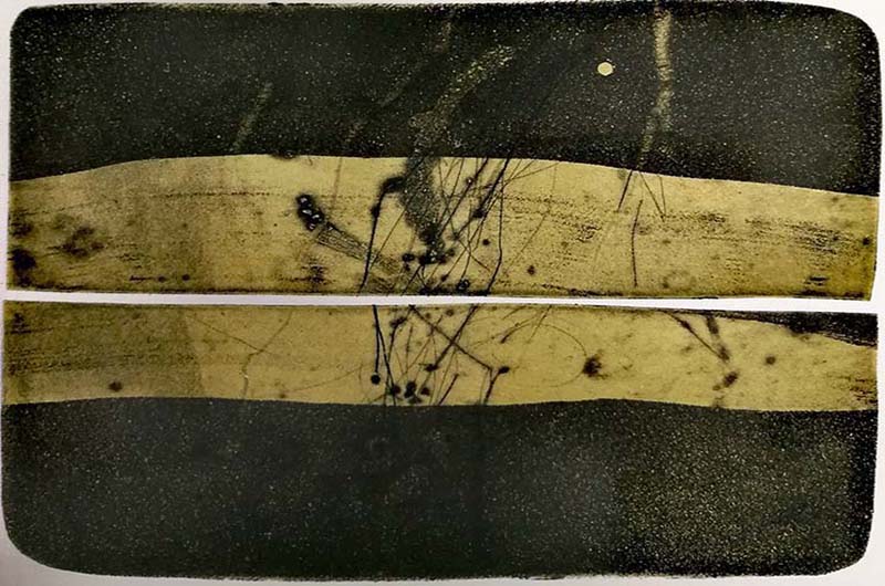 Elisa Ottaviani - L'acqua va all'acqua-2018.pdf