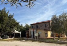 Vinitaly 2026, il "Rinascimento" del Lazio: presentate le nuove guide su Tuscia e Cesanese