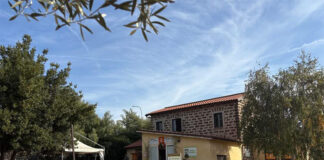 Vinitaly 2026, il "Rinascimento" del Lazio: presentate le nuove guide su Tuscia e Cesanese