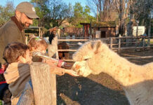 Fattoria Bianconiglio