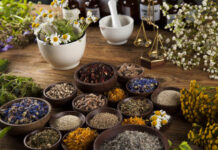 La Via delle Erbe-Blera