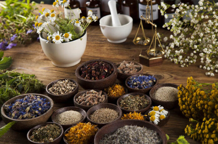 La Via delle Erbe-Blera