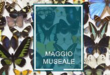 Maggio Museale-Notte dei Musei alla Sapienza