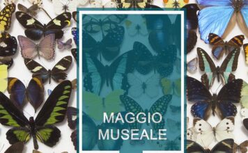 Maggio Museale-Notte dei Musei alla Sapienza