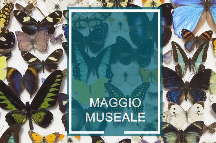 Maggio Museale-Notte dei Musei alla Sapienza
