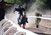 Palio dell'Anello, gara