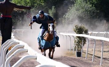 Palio dell'Anello, gara