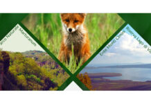 Riserva Lago di Vico