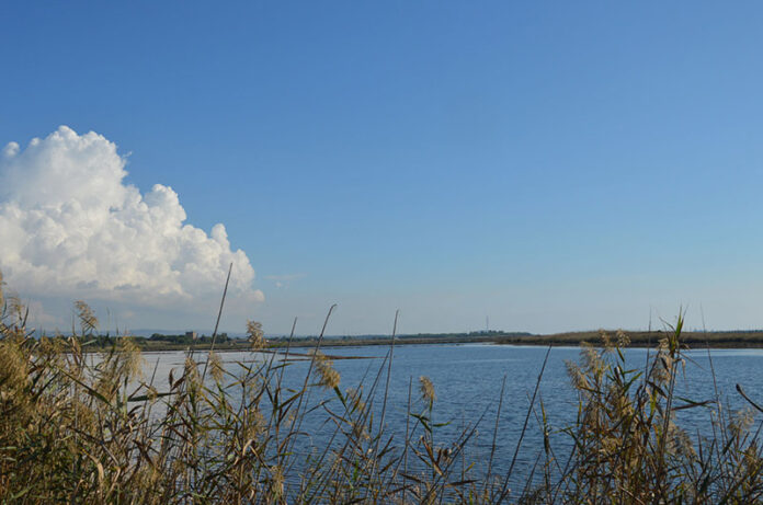 Saline di Tarquinia