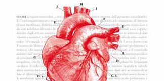 Sua Maestà il Cuore - libro