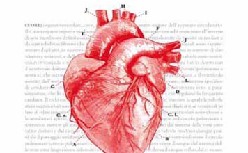Sua Maestà il Cuore - libro