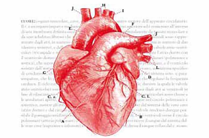 Sua Maestà il Cuore - libro