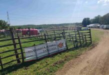 azienda agricola dell’Università Agraria di Tarquinia