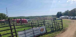 azienda agricola dell’Università Agraria di Tarquinia
