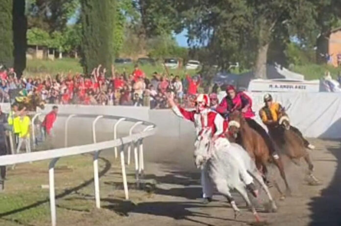 diego-minucci-bomarzo