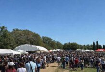 folla alla festa della merca di tarquinia 2026